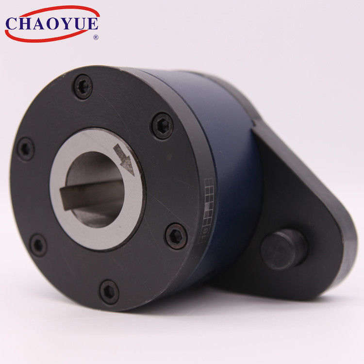 One Way 2100N.M Torque Conveyor Belt Backstop For Bucket Elevator